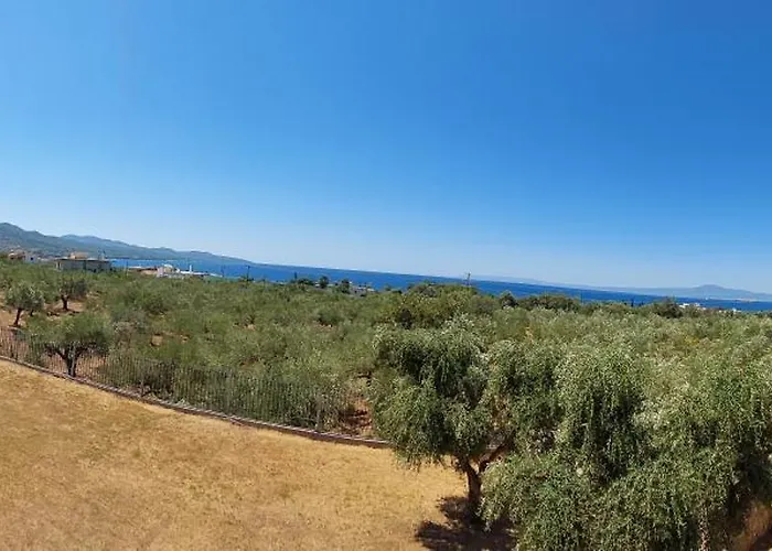 Апартаменты Elea *